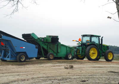 Pecan Harvesting Image