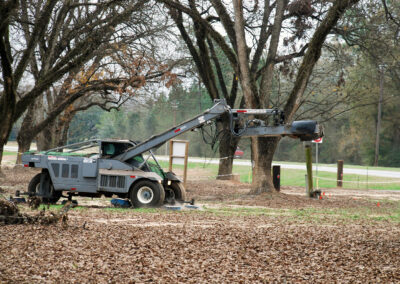 Pecan Harvesting Image